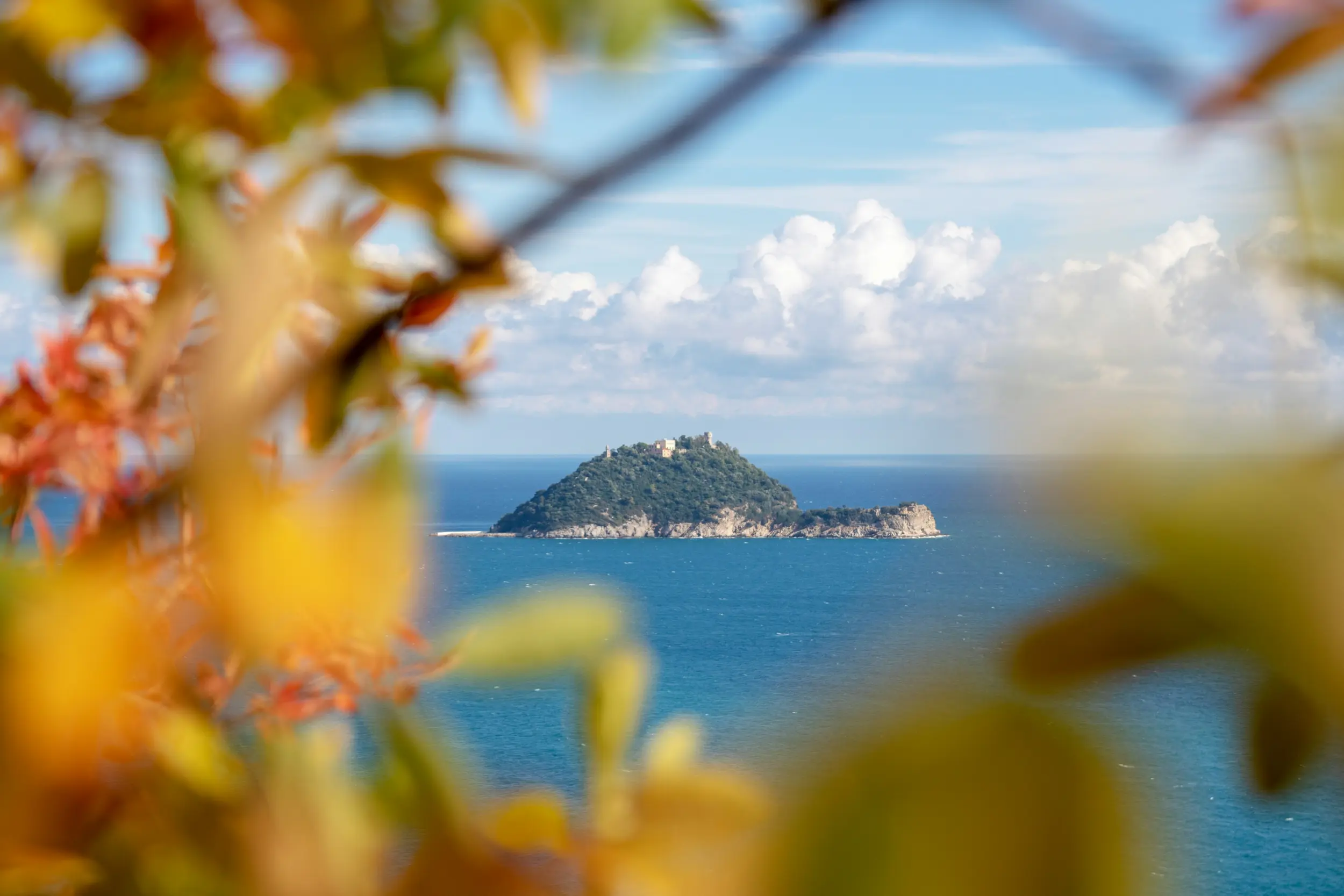 Stunning view of Gallinara Island emerging from the turquoise Ligurian Sea, framed by Mediterranean autumn foliage