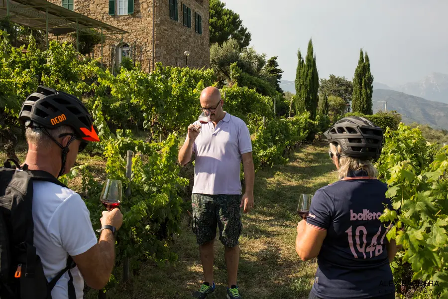 MTB riders enjoying a red wine tasting experience in a vineyard during a guided tour of the Langhe region with Trails Unlimited.