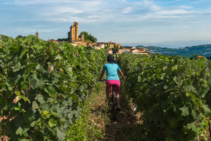 Two mountain bikers toasting with glasses of red wine in a lush vineyard during a Trails Unlimited guided tour in the Langhe region.