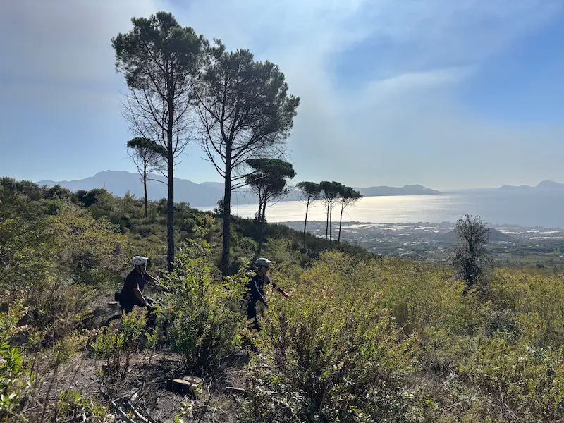 A mountain biker riding through lush Mediterranean scrub on a hillside, overlooking a wide coastal plain and the shimmering sea under a bright, hazy sky