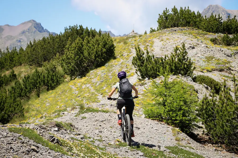 Professional female MTB guide, Manuela, riding uphill on a vast mountain ridge during a scouting session for the Sky to Sea tour. The scene features a wide alpine landscape with pine trees and high peaks in the background.