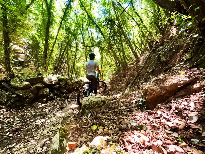 Ancient stone mule trail in San Bernardino, Finale Ligure, surrounded by Mediterranean forest and natural limestone.